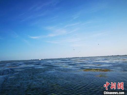 湖南将建成洞庭湖总磷天空地一体化监测监管体系