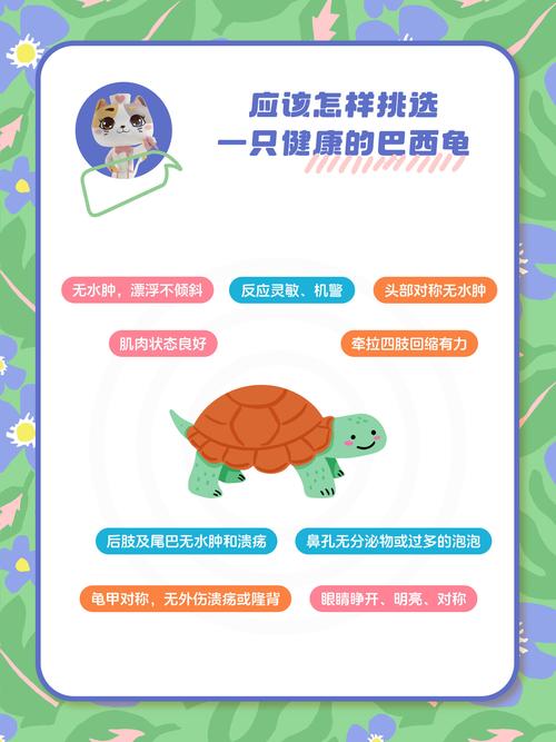 小叶医探|国庆享长假,健康不“放假” 多科医生送上健康小贴士