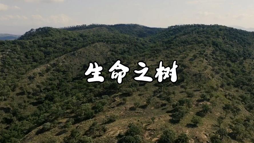 世界自然保护联盟:全球超过三分之一树种濒临灭绝
