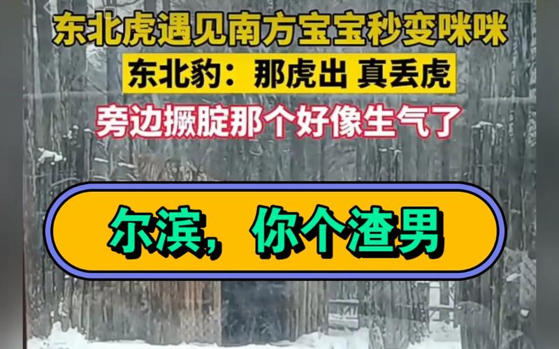 “尔滨”的宾,不一定是“你的宾”