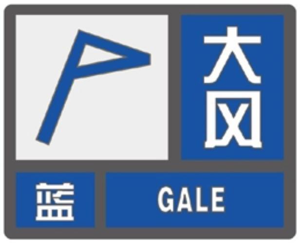 广西壮族自治区天等县发布大风蓝色预警