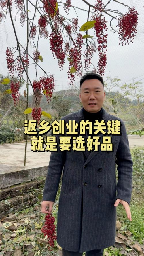 “蔬菜上山” 江西金溪返乡创业农人点“荒”成金