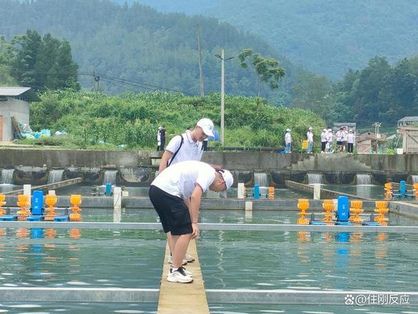 (身边的变化)重庆:昔日贫困村依靠冷水鱼“游”出致富路