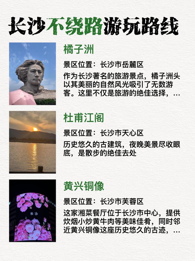 长沙旅游“含龙量”有多高?几组数据告诉你!