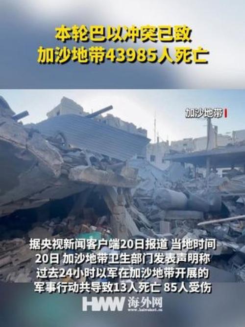 加沙地带卫生部门：本轮巴以冲突已致加沙地带超2.98万人死亡