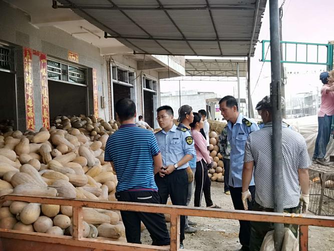 临高:加大执法力度保障农产品质量安全